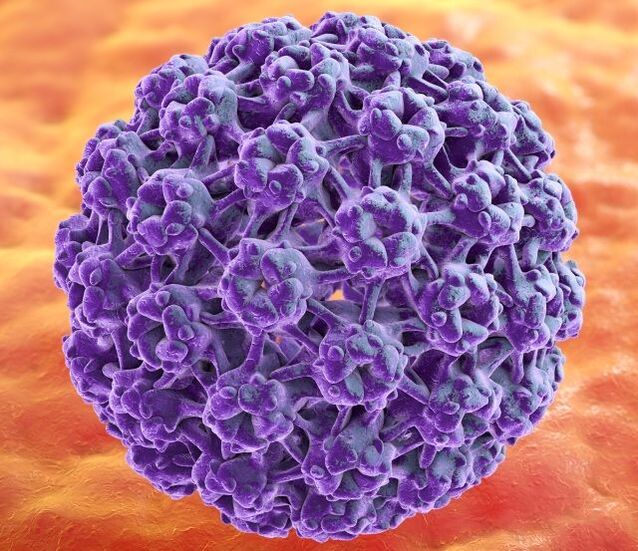 מודל תלת מימד של HPV המעורר הופעת יבלות על הידיים