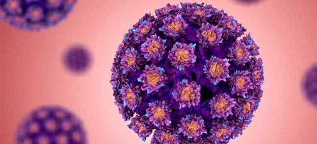 HPV - וירוס הפפילומה האנושי